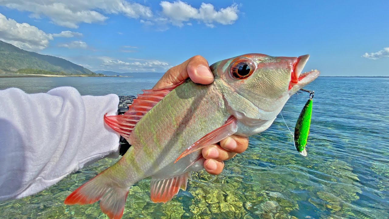 Mancing casting ngoyor di Pinggiran Karang dangkal | Serasa mancing di Pantai Papua