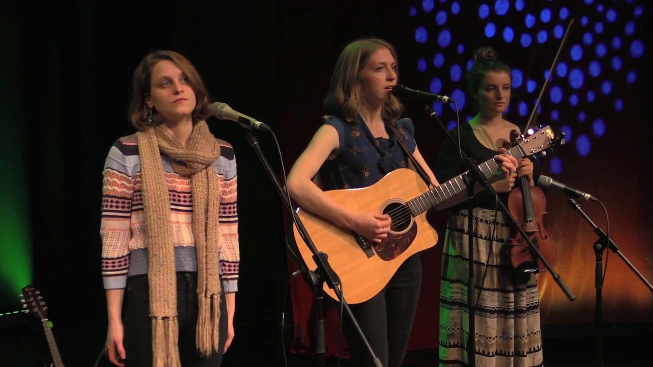 THE DROWSY MAGGIES - Magnolia Tree