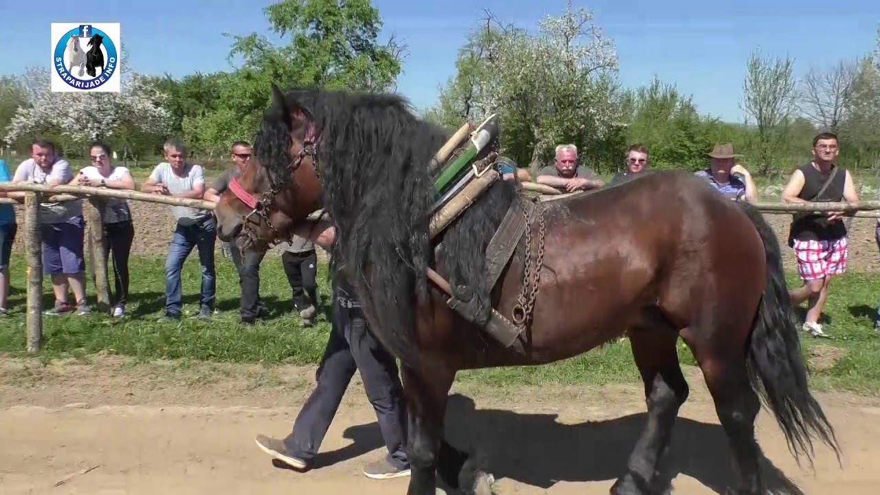 -Štraparijada Okučani kod Serdara 2018- Srednji parovi