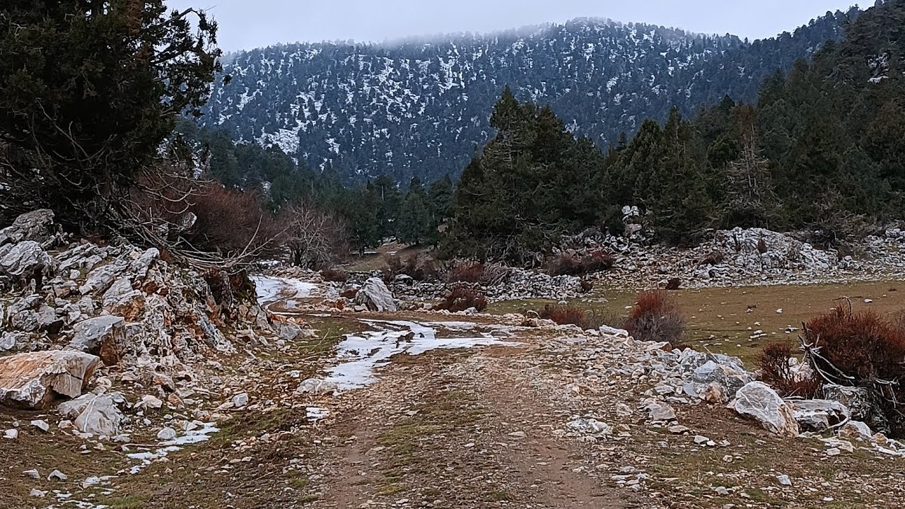 Hisar Köyü Yayla Yollarında Bir Gönül Yolculuğu. 