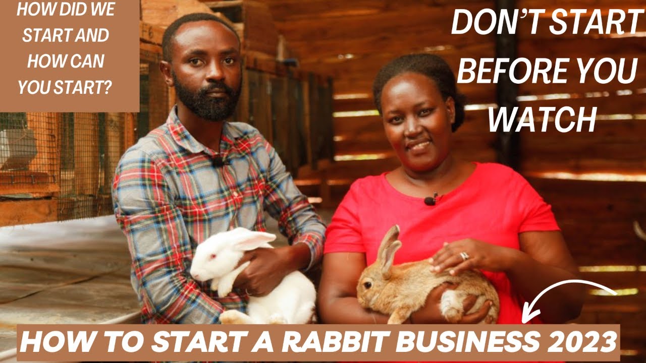 HOW TO START A RABBIT BUSINESS 2023|DONT START BEFORE YOU WATCH|HOW WE STARTED|#farming #Business
