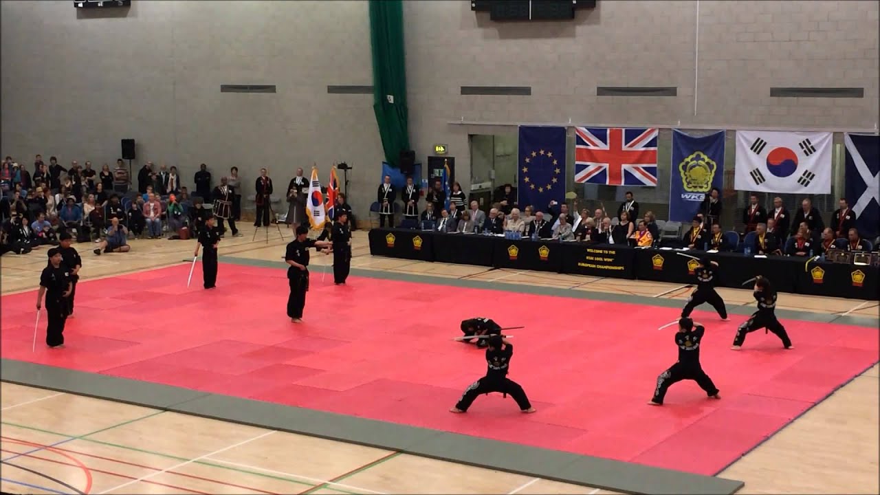 WKSA Korean Demo Team 2014