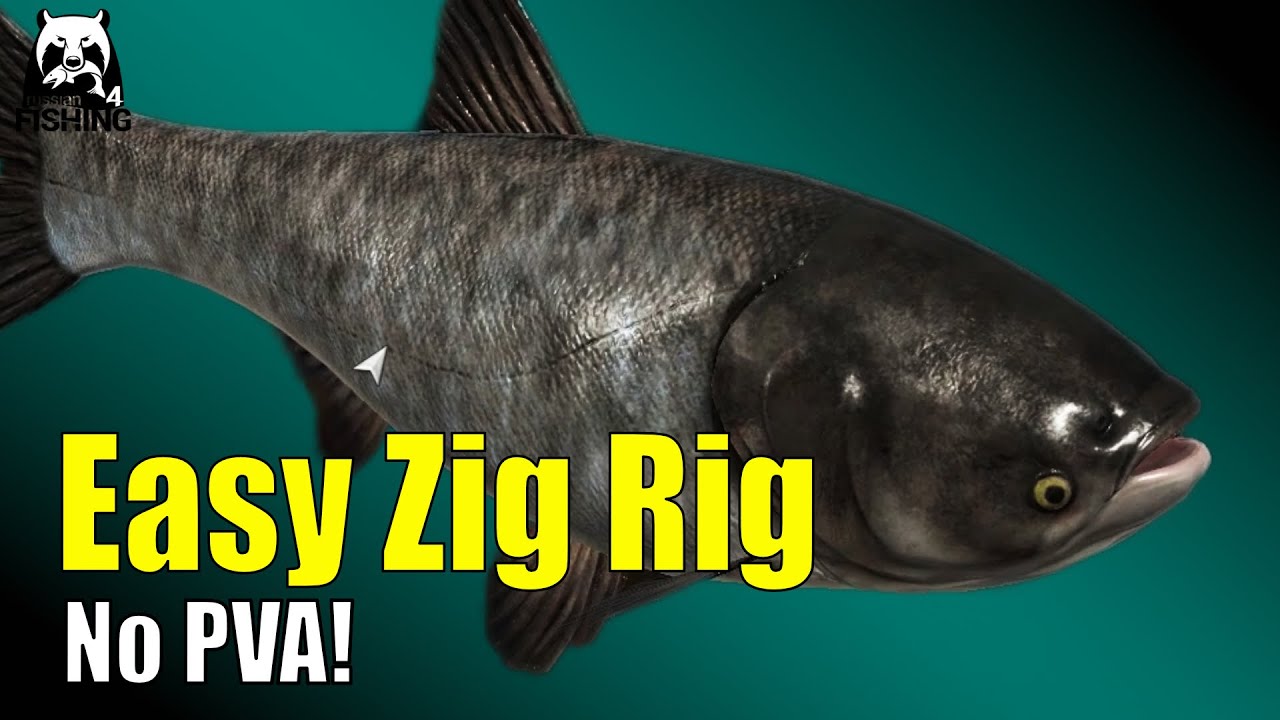 Russian Fishing 4 - Achtuba - Ganz einfach das Zig Rig im Test! Selbst Stör geht auf Zig ... #rf4