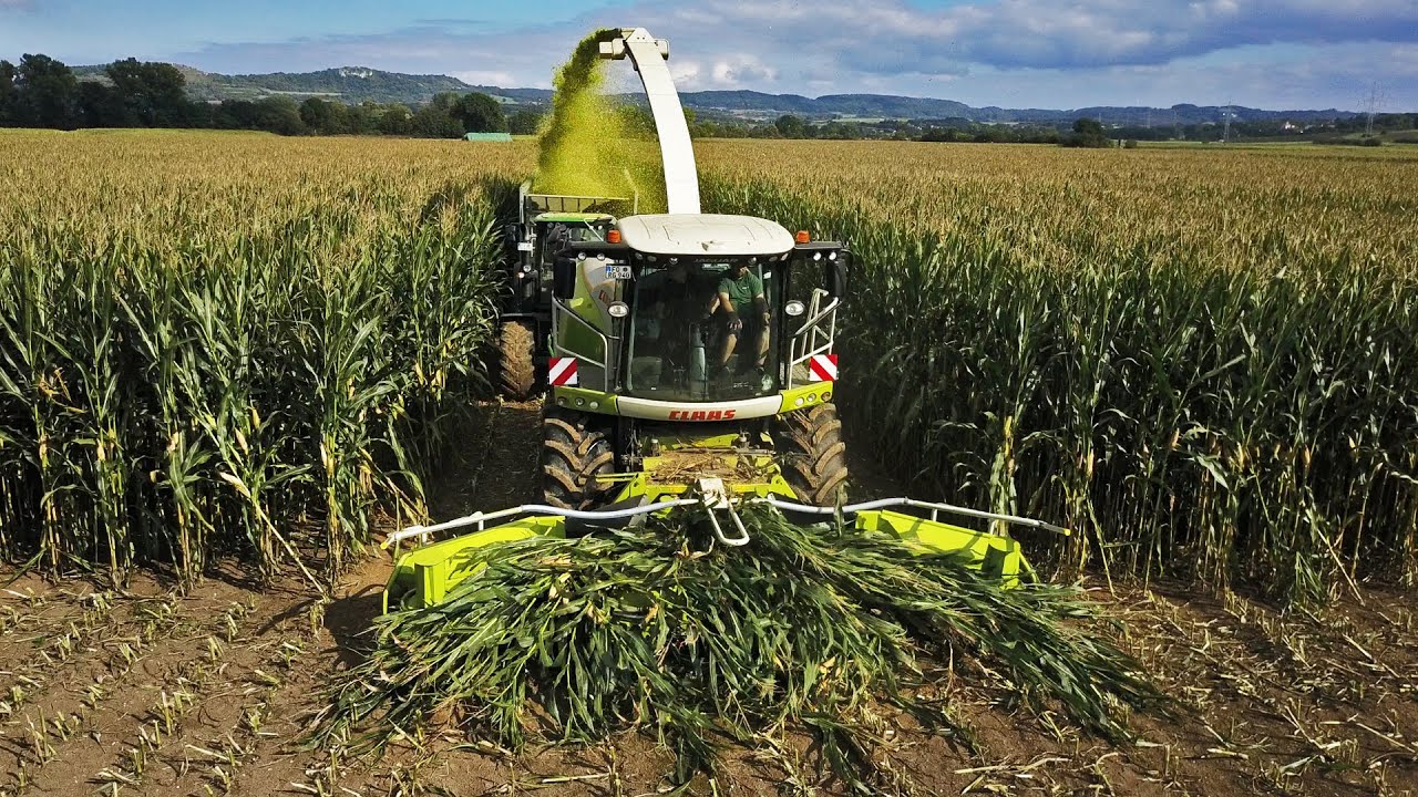 NEW Claas Jaguar 940 | Maishäckseln 2021