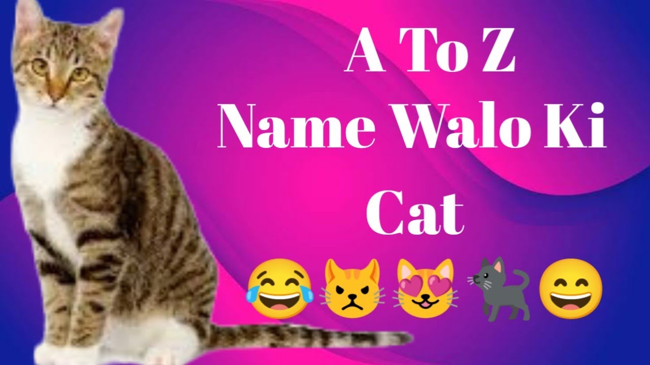 A To Z Name Walo Ki Cat | Cat According To First Letter | S Name Walo Ki Cat #cat #lovewithme