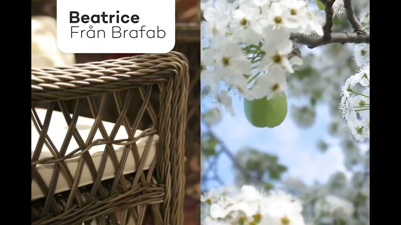 Beatrice - Brafab
