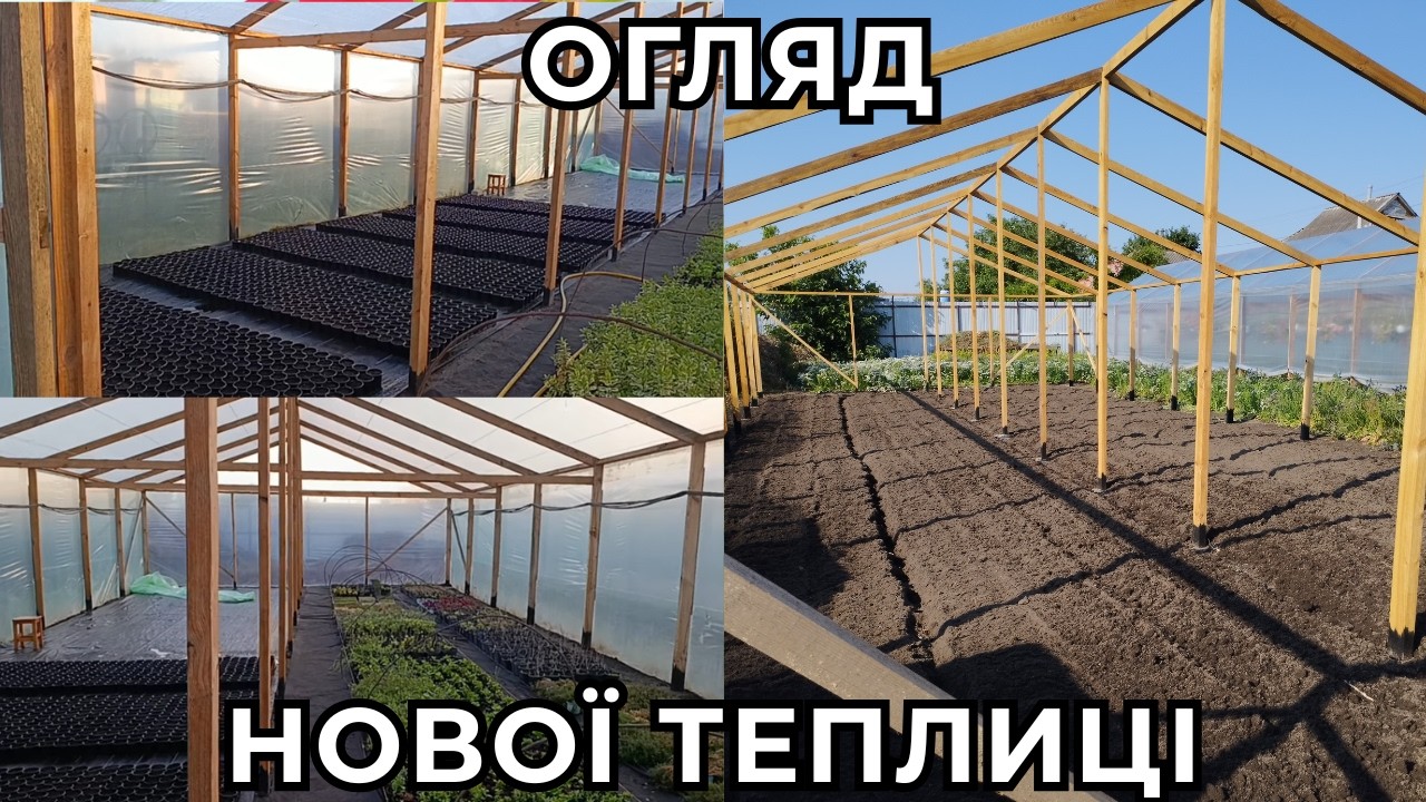 ОГЛЯД НОВОЇ ТЕПЛИЦІ