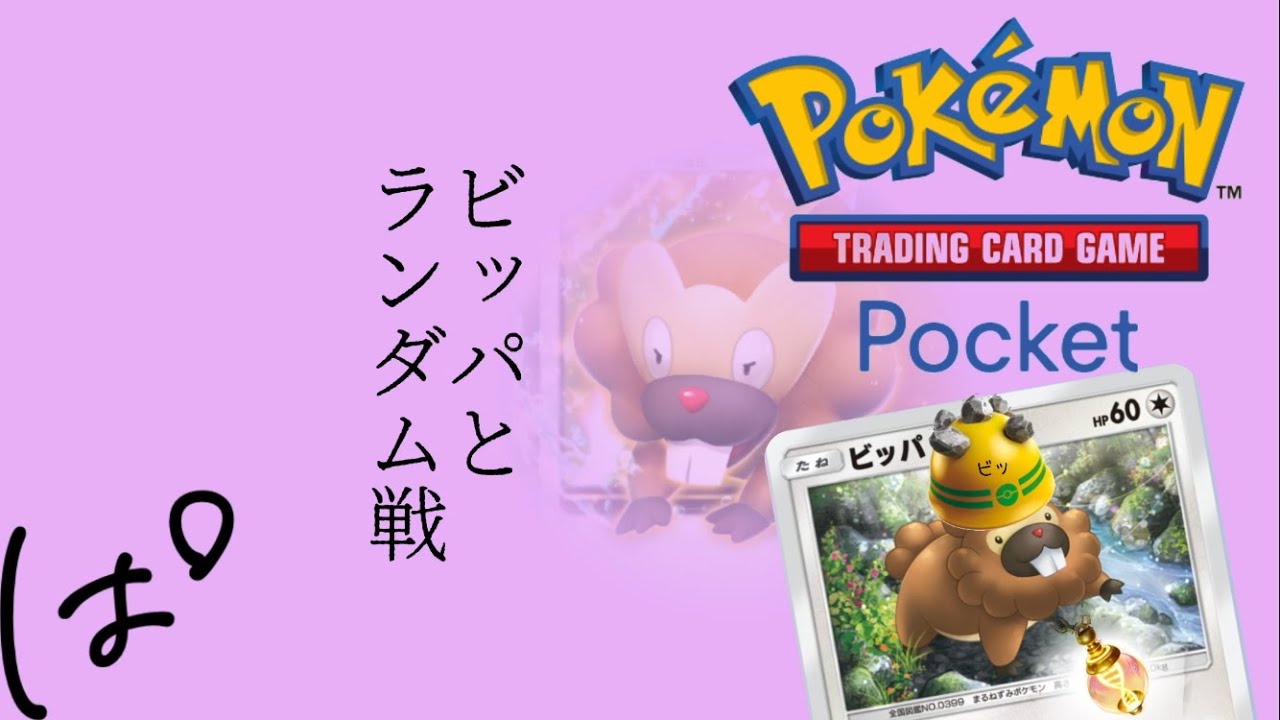ビッパと一緒にランダム戦！ || Pokémon Trading Card Game Pocket / LIVE /