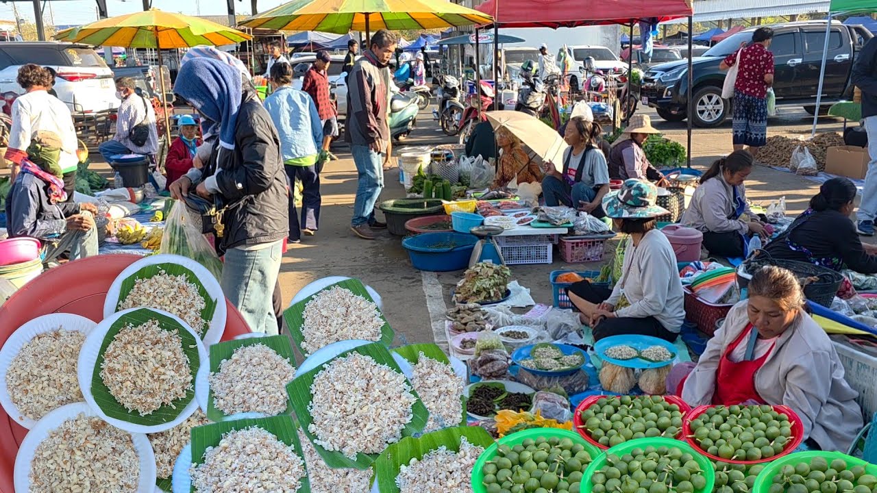 ตลาดนี้ไข่มดแดงเยอะมาก ตลาดเช้า อ.ตระการ จ.อุบลฯ #ไข่มดแดง #ของป่า #อาหารตามฤดูกาล 
