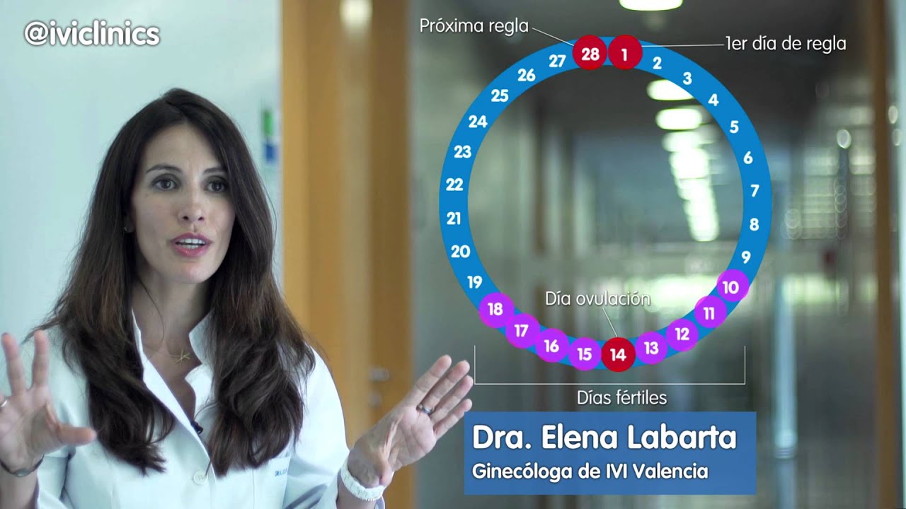 IVI - &iquest;C&oacute;mo puedes calcular tus d&iacute;as f&eacute;rtiles?