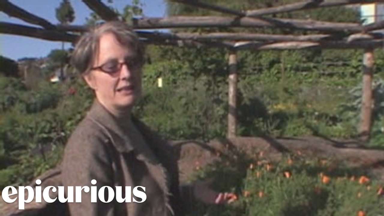 Alice Waters Gives a Tour of the Edible Schoolyard