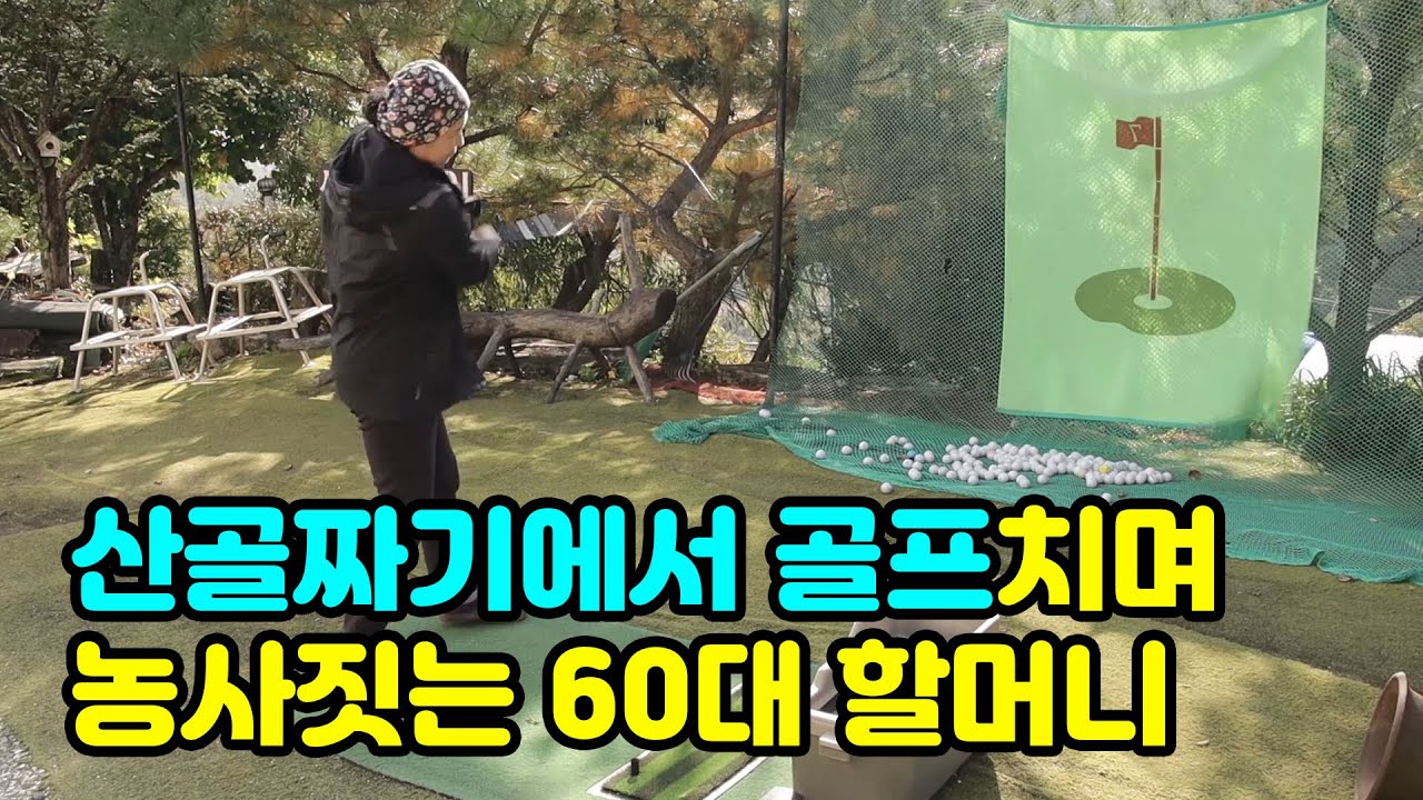 산속에서 골프치며 세븐일레븐까지 진출한 60대 어머니ㄷㄷ!!(feat_아직까지 가격을 내 맘대로 정할 수 있는 작물!! 블루오션 작물이라고 하네요..)