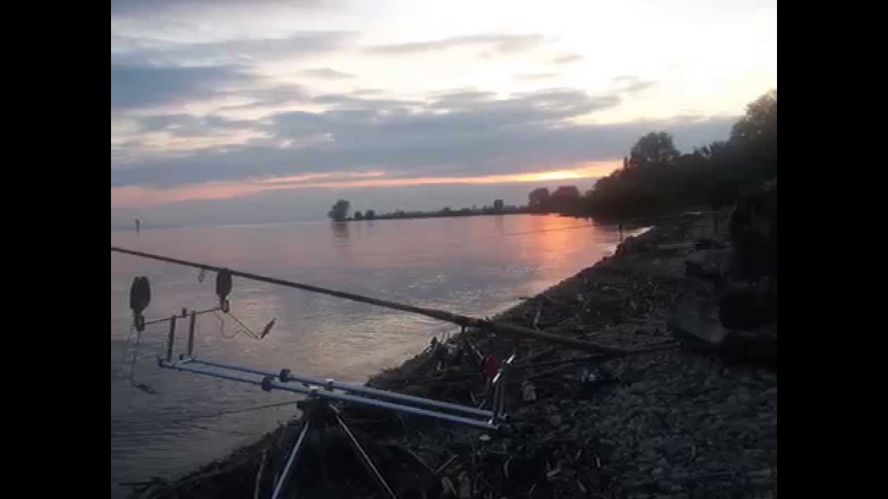 Bodensee - Nachtfischen mit Martin Hartensteiner am 30.05.14