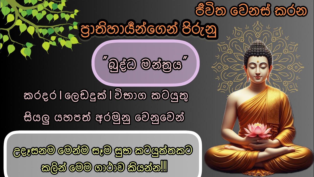 ජීව්තේ දිනන්න හැම යහපත් කටයුත්තකට කලින් මේ බලගතු බුද්ධ මන්ත්‍රය ඔබත් කියන්න🌸🙏