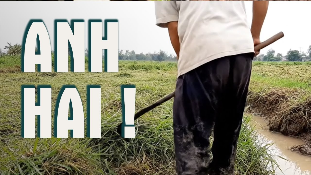 Vì Sao Người Miền Nam Gọi Con Đầu Là Anh Hai ?