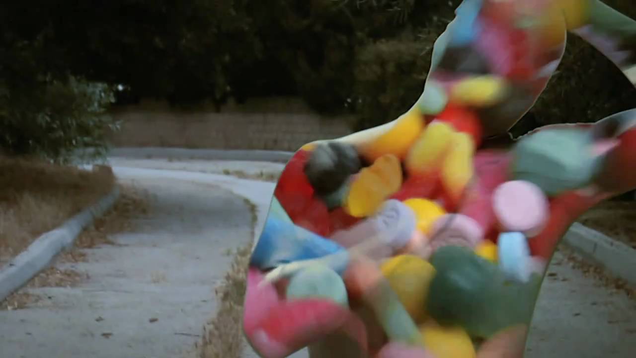 Tera Melos "Frozen Zoo" (Official)