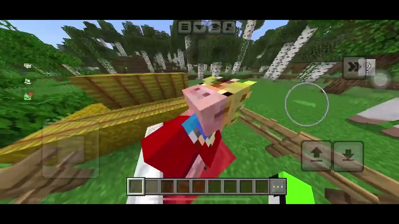 Hello Dream Hello pig god