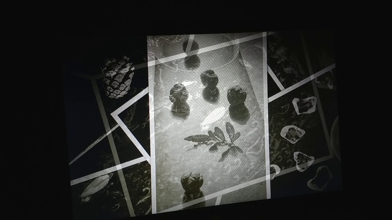 SOFT MACHINE CHRONICLE     - silver halide prints  by  THOR M.