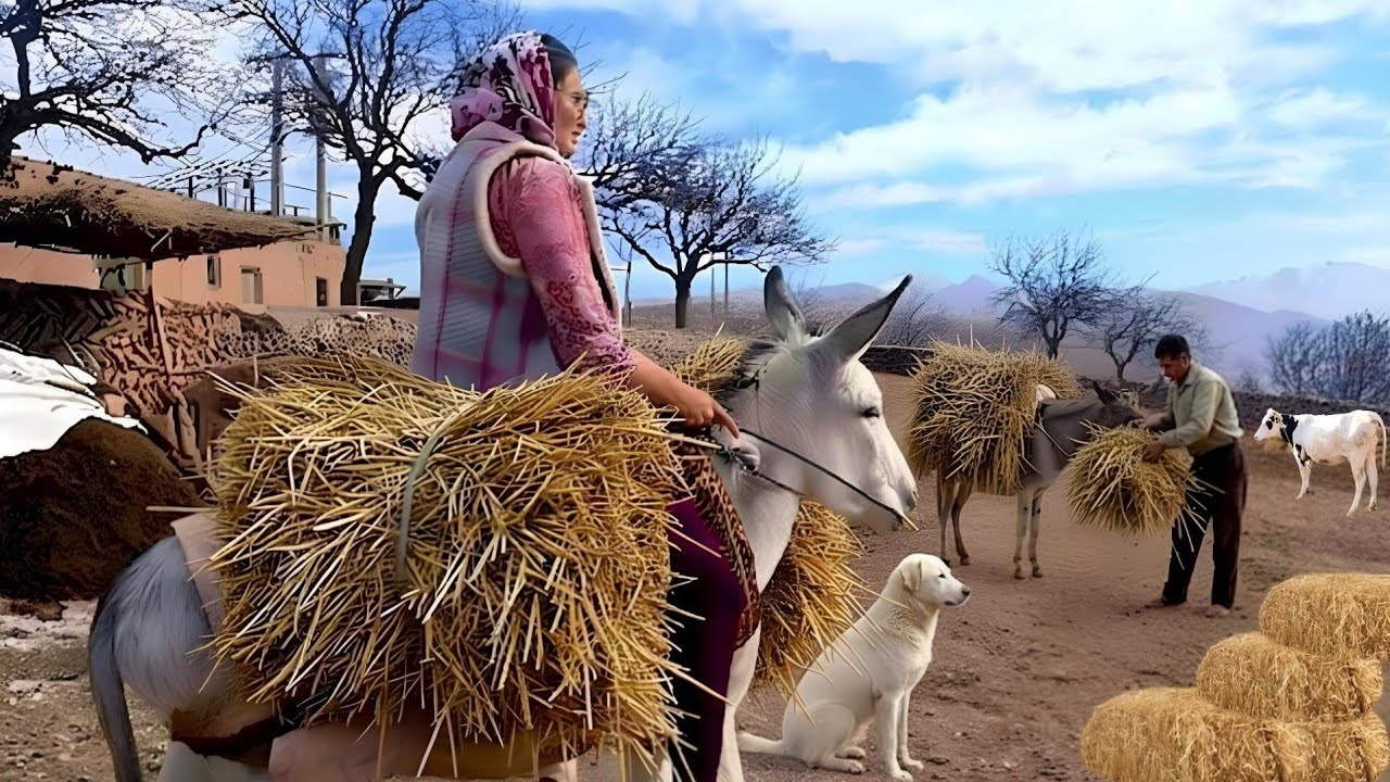 A Real Rural Girl’s Life in the Mountains | Donkey and the Daily Struggles of Carrying Fodder