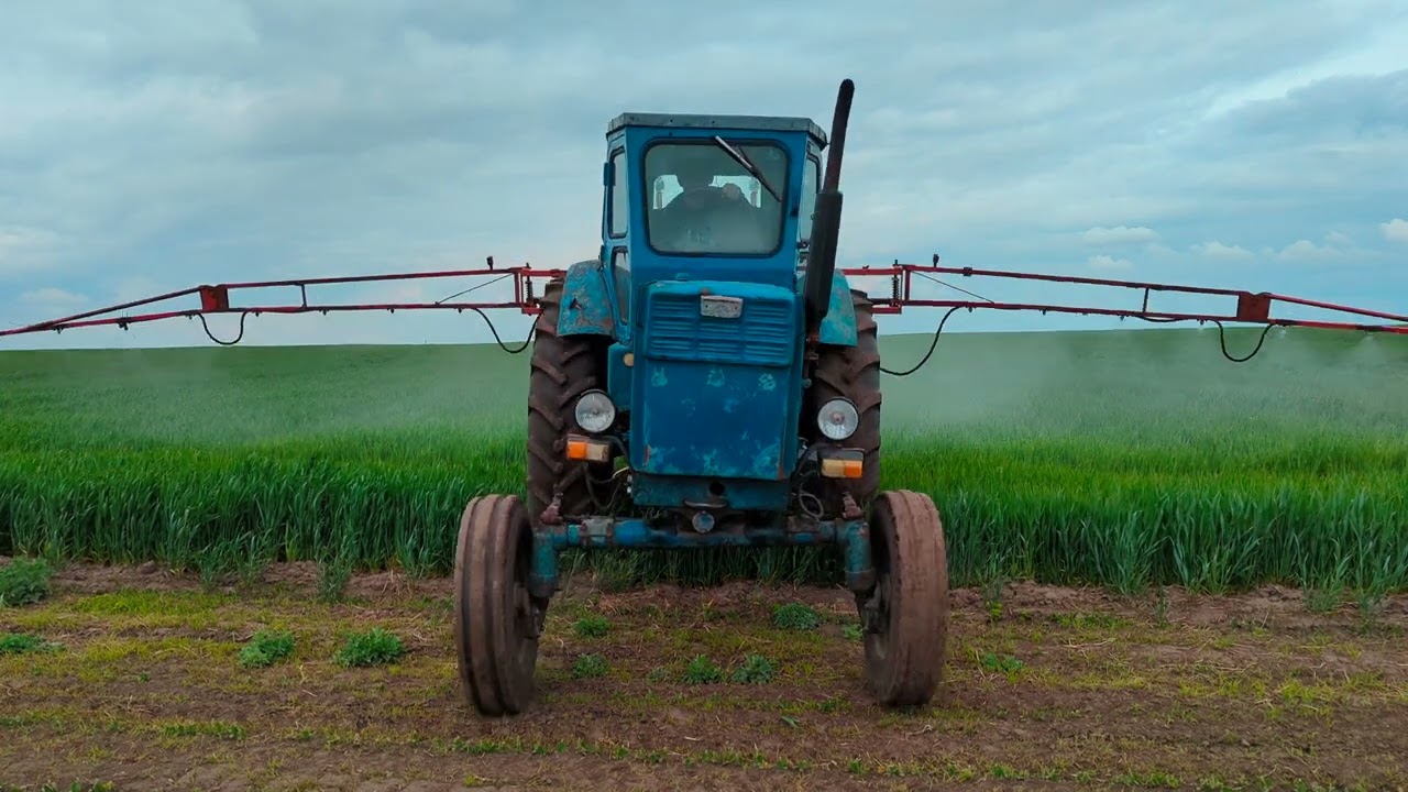 🚜 Обприскування 💧 пшениці і ячменю | Секрет гарного врожаю 🌾✅