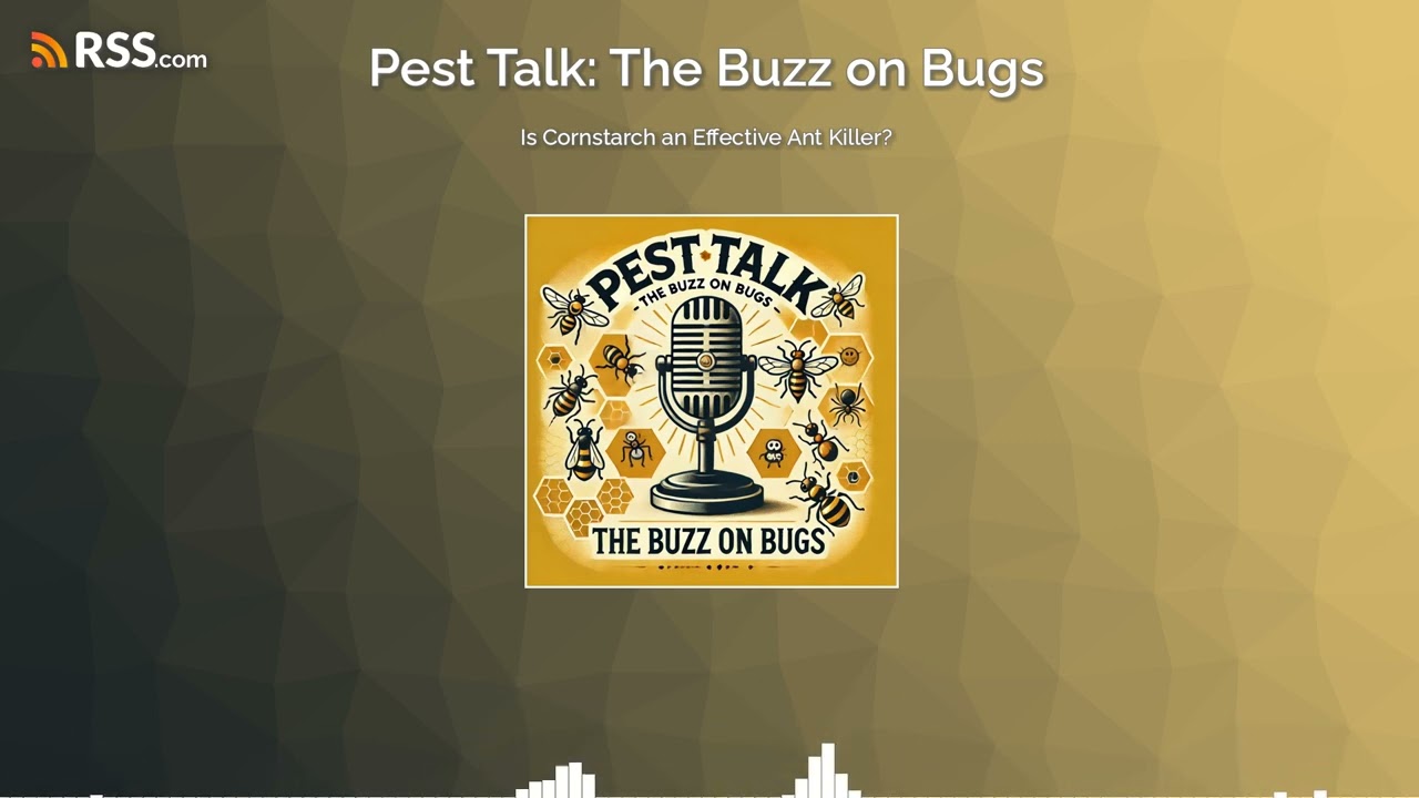 Is Cornstarch an Effective Ant Killer?