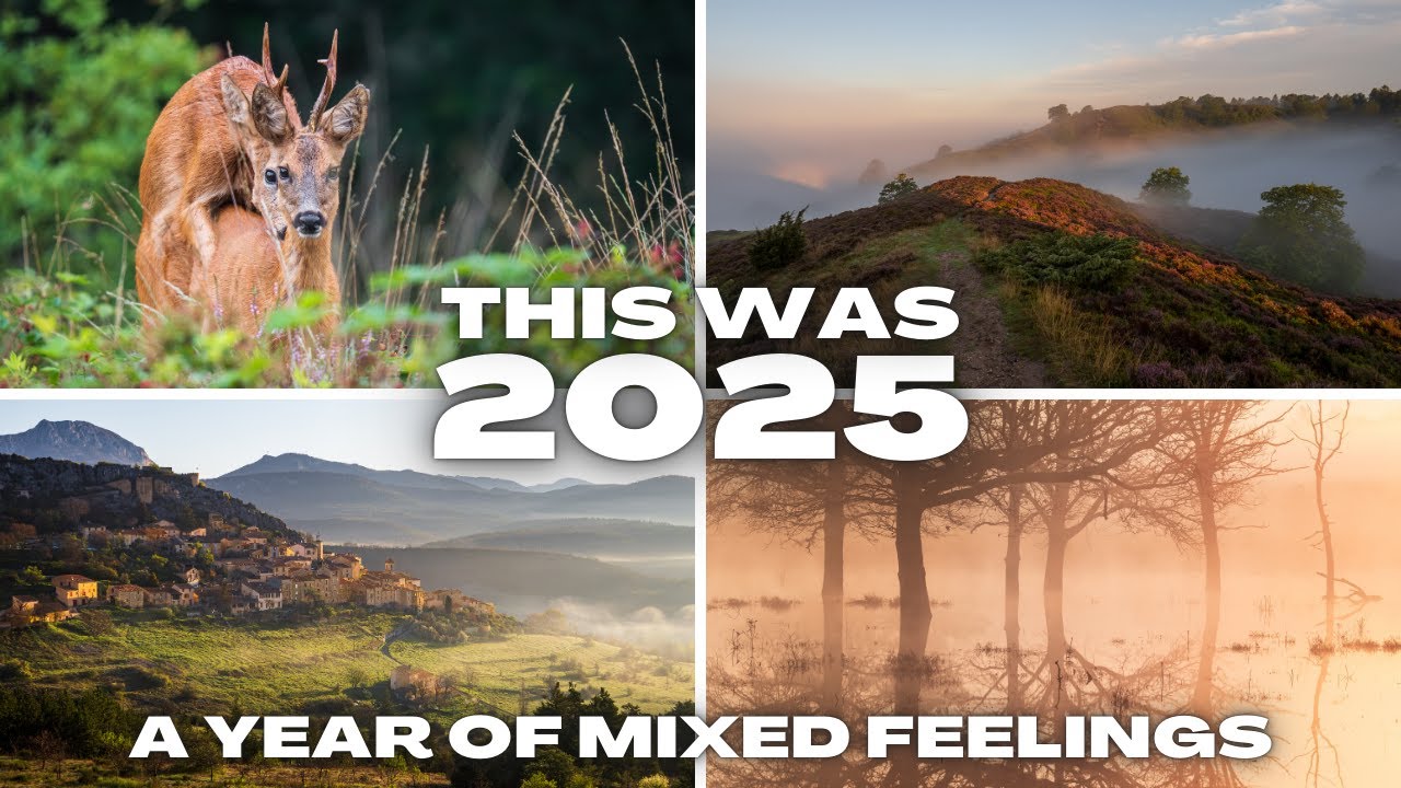 To był rok 2025! Fotografia krajobrazowa i przyrodnicza z moim systemem OM OM-1 MKII