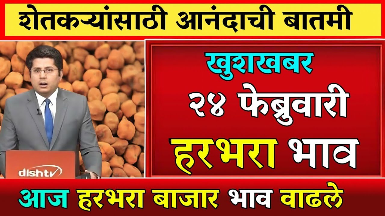 हरभरा दरात मोठी वाढ? पहा आजचे ताजे बाजारभाव | कोणत्या मार्केटमध्ये मिळाला सर्वाधिक दर?