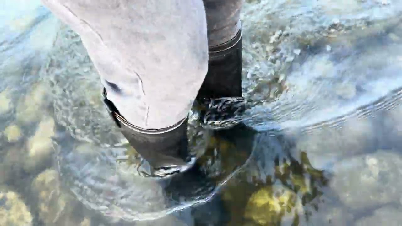 'Flattered Frances' boots get wet in stream 4