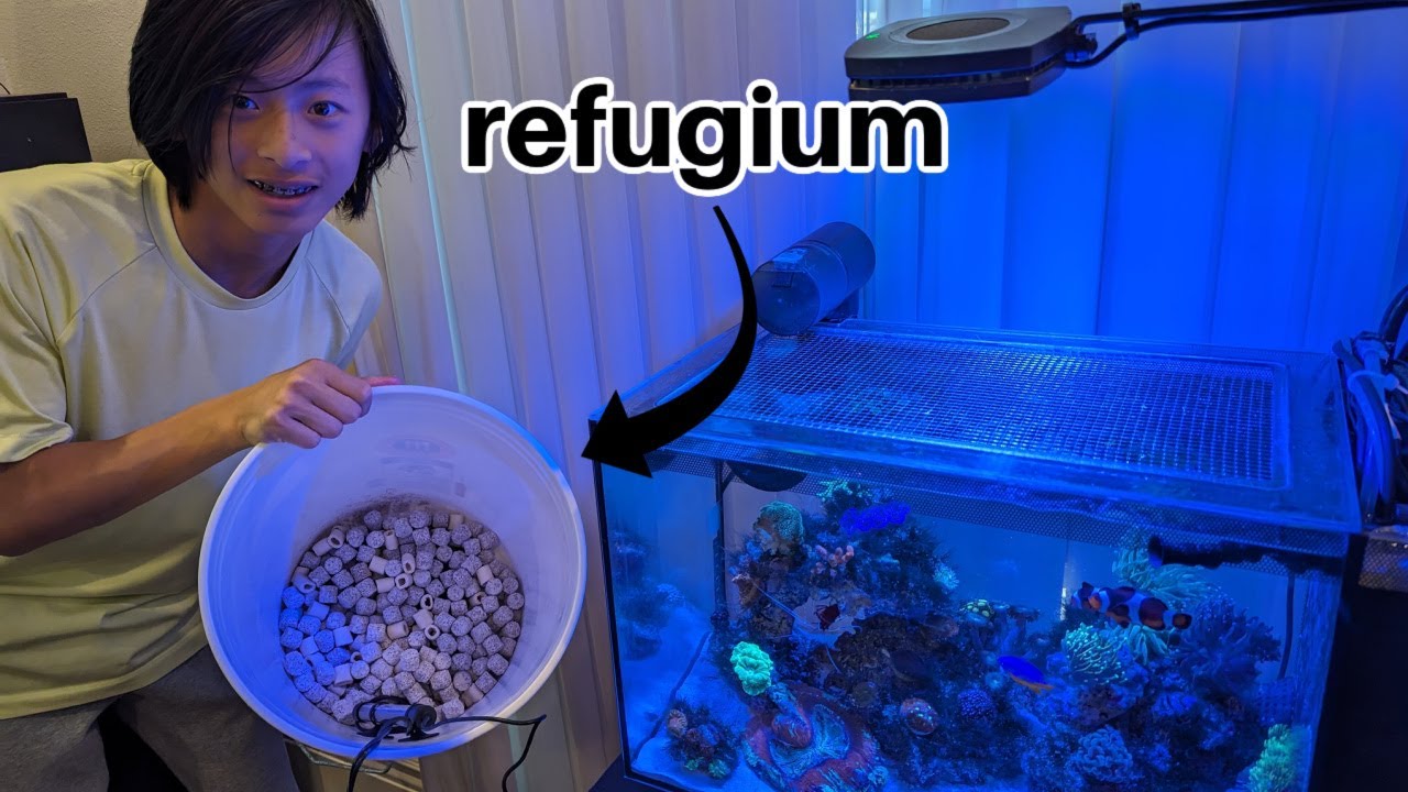 Adding a new DIY refugium to our reef tank.