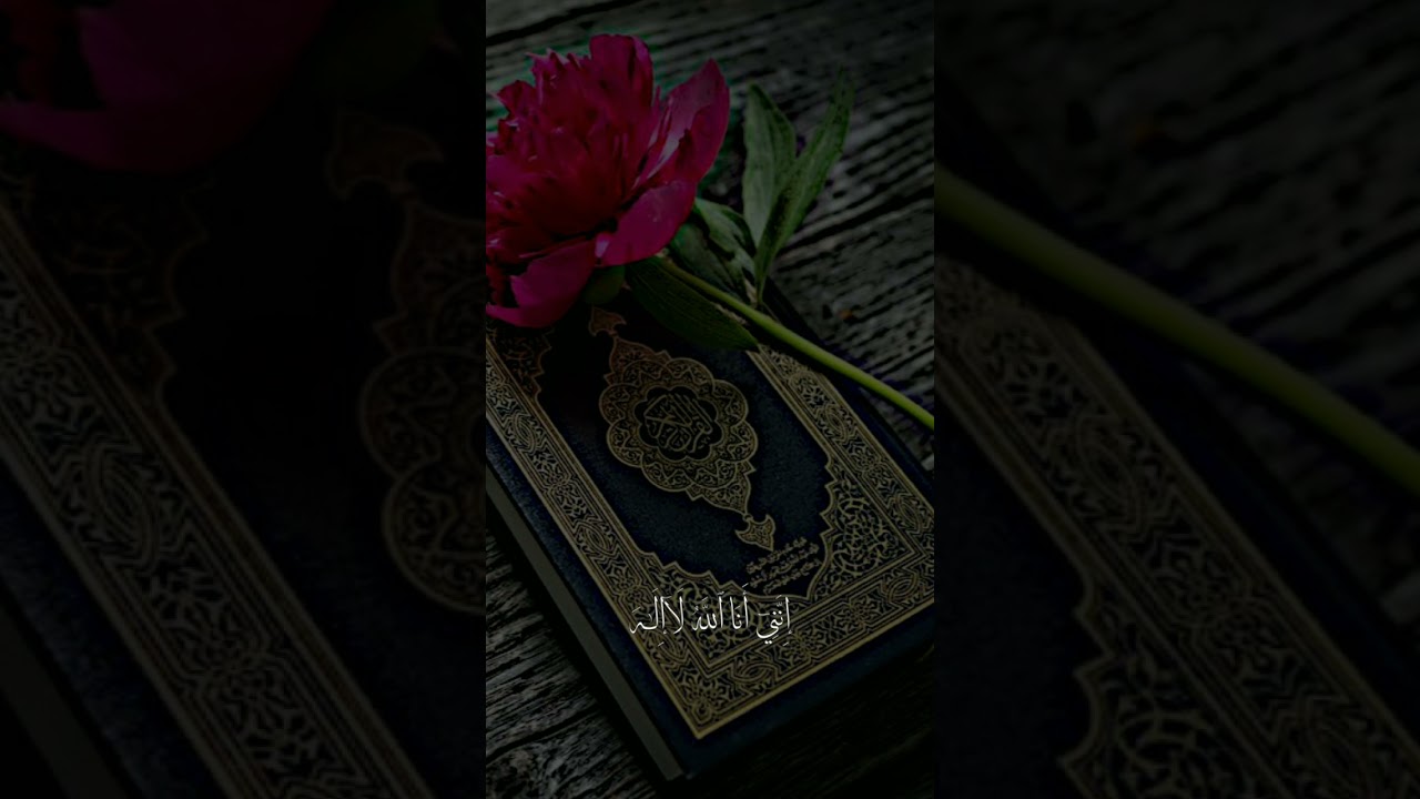 Voici le son le plus doux du monde ( Le quran ). Partie 64