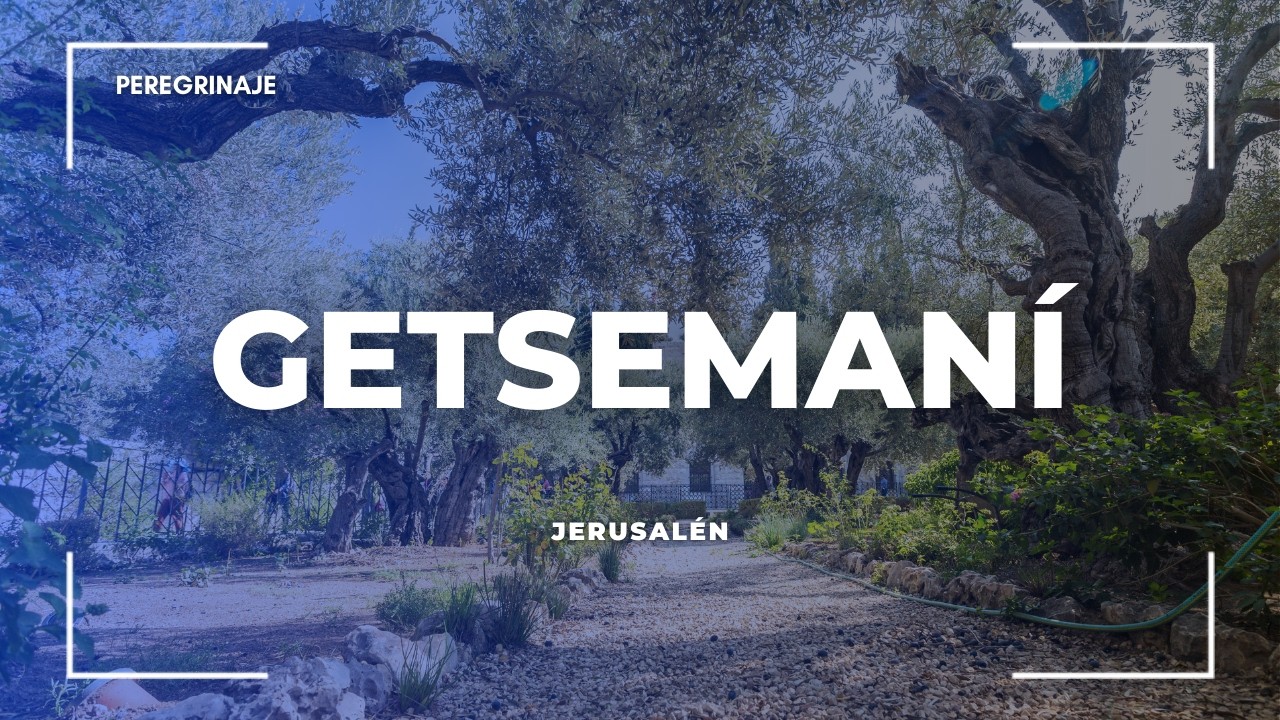 Getsemaní: El Huerto de los Olivos y la Basílica de la Agonía | Peregrinación con Fray Carlos Molina