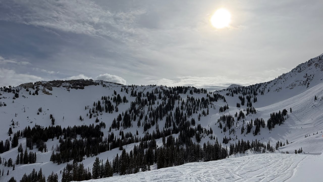 Alta 3/1/2026 