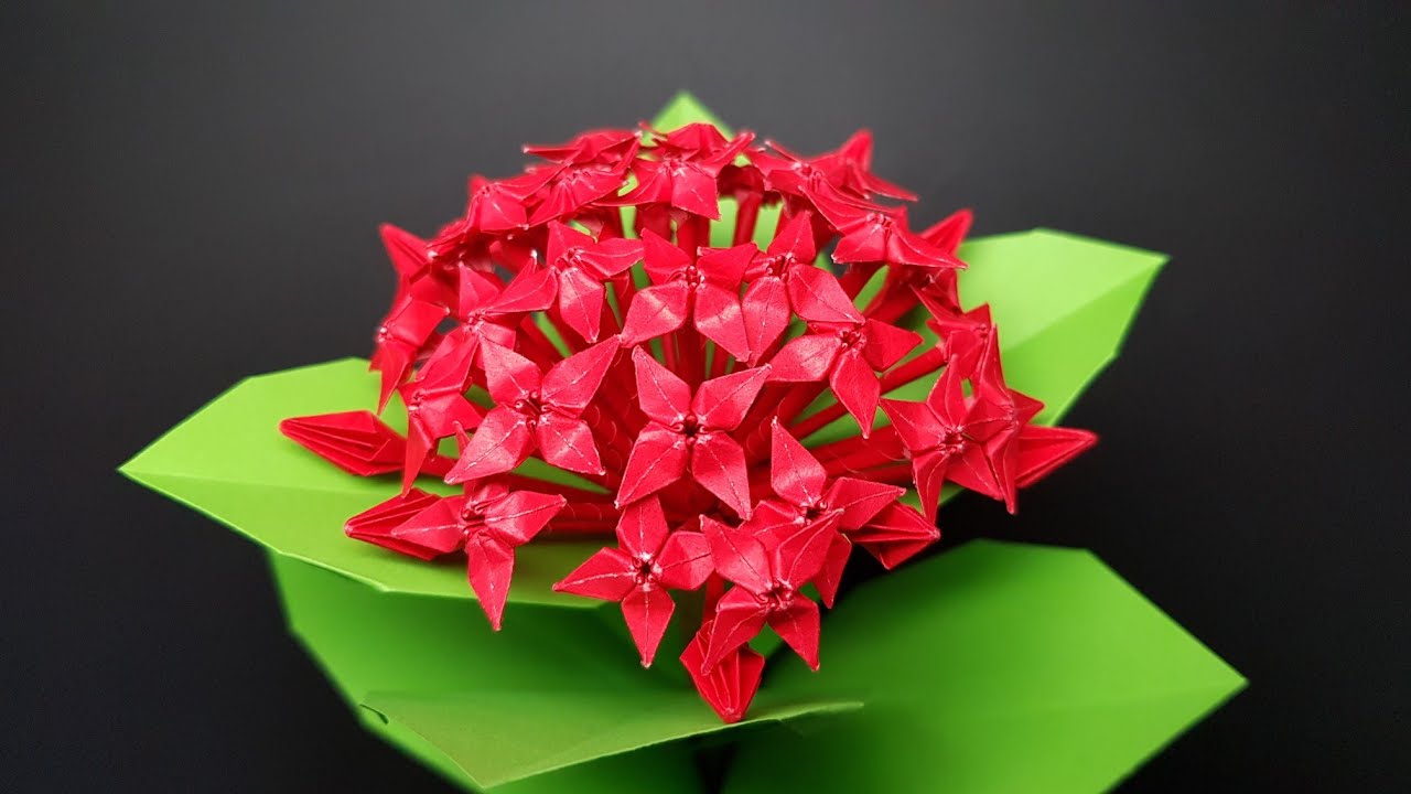 익소라접기 - Paper Ixora - 꽃접기 ( flower )- paper folding - 종이접기 折纸 origami оригами أوريغامي