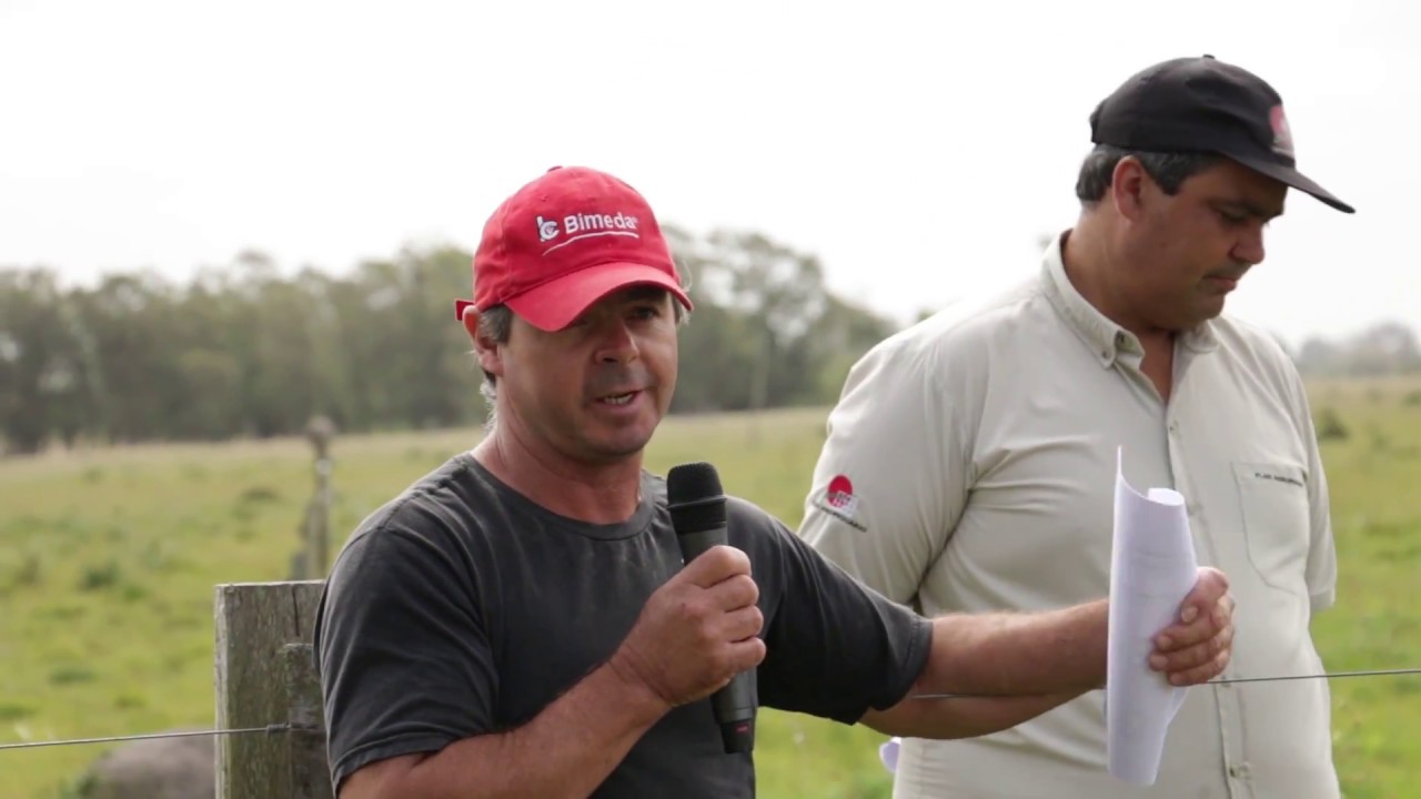 Parada 1 - Establecimiento de Fabio Denis. IV Gira de Pasturas Sembradas en el Este