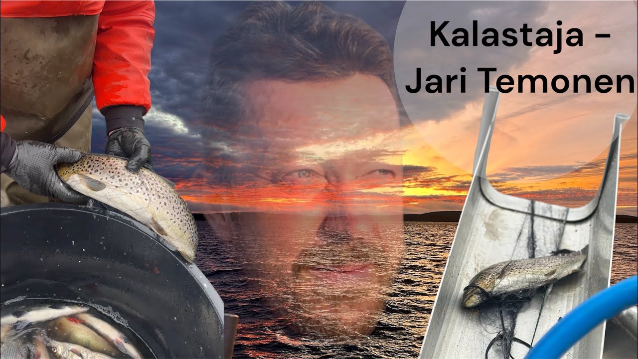 AMMATTIKALASTUSTA INARILLA MARRASKUUN TUISKUSSA || YLI 200kg SIIKAA