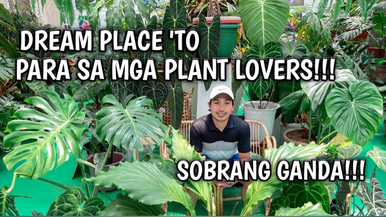 VISITING THE FIRST EVER GREENHOUSE CAFE IN TAGAYTAY | A MUST SEE CAFE WITH LOTS OF RARE PLANTS!