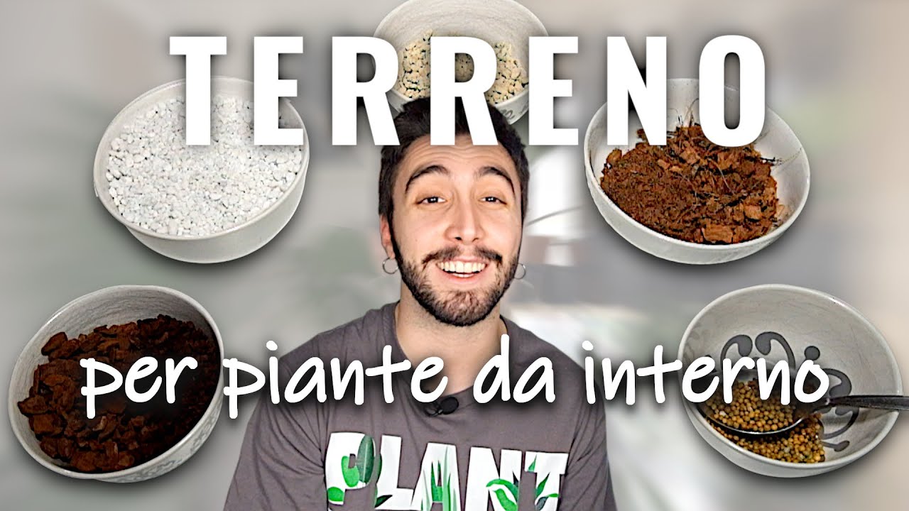 IMPARA a fare un SUBSTRATO per PIANTE DA INTERNO