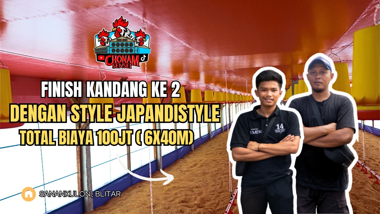 Bangun Kandang 6x40m Populasi 6.000 Ekor  || Mas Rehan, Blitar