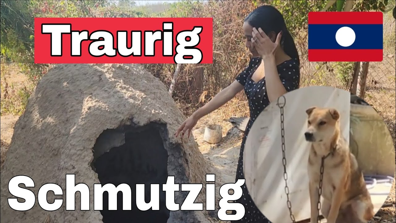 Bilder aus Laos welcher einen traurig machen unser gewöhnungsbedürftig sind