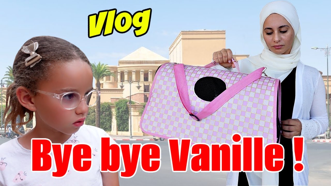 VLOG - AU REVOIR VANILLE !