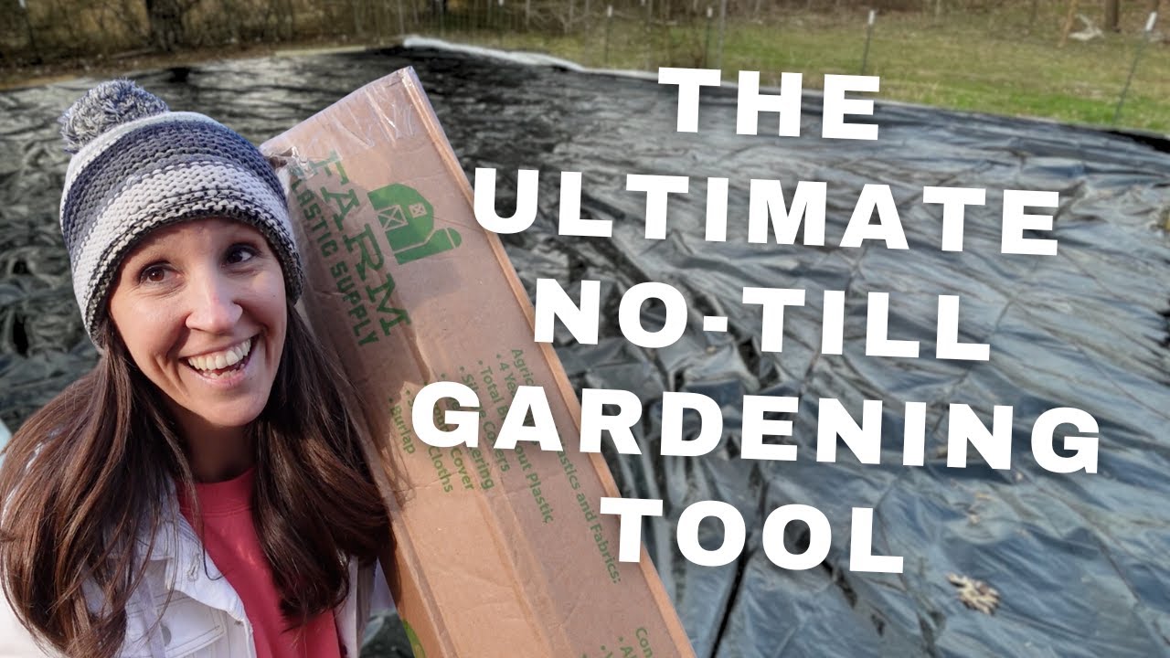Using Silage Tarps to TRANSFORM Your Garden (Reclaiming the Garden Part 3)