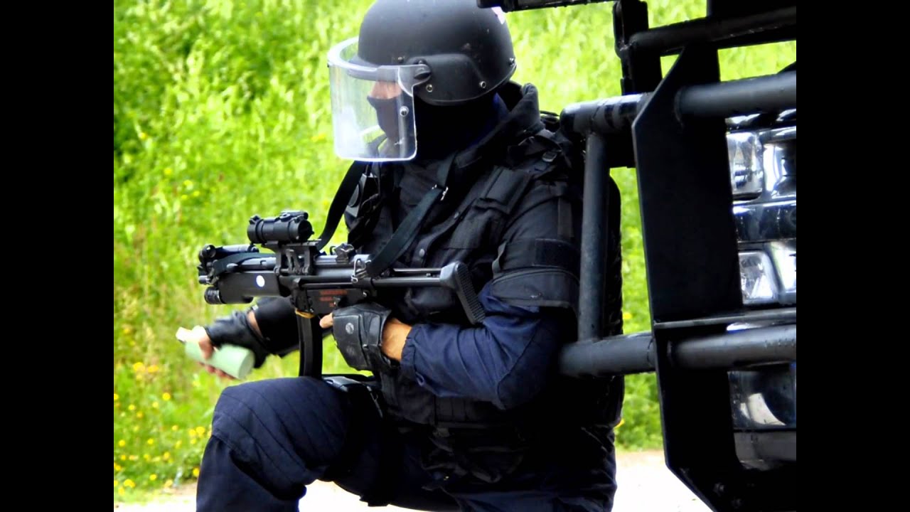 GIGN GIPN RAID ET BRI
