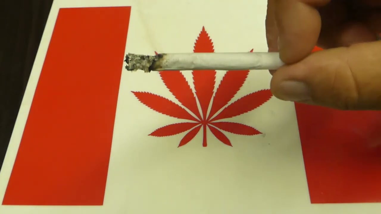 Fucking Incredible fr West Coast Cannabis (Smoke)