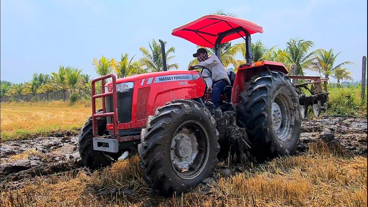 Quá bất ngờ khi gặp lại máy cày Massey ferguson 2635 cày chảo bảy nhìn đất lên kinh Khủng thật