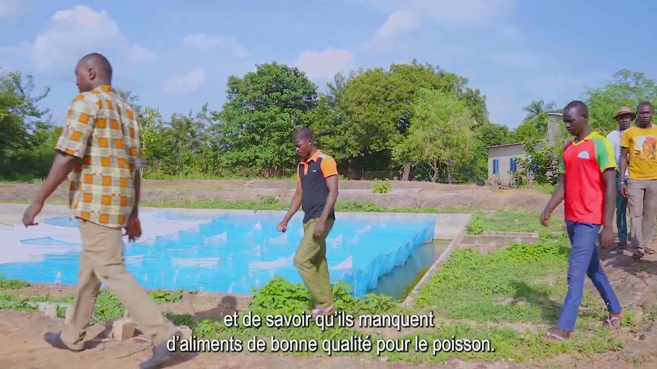 Production des asticots pour enrichir l'aliments poissons en protéine