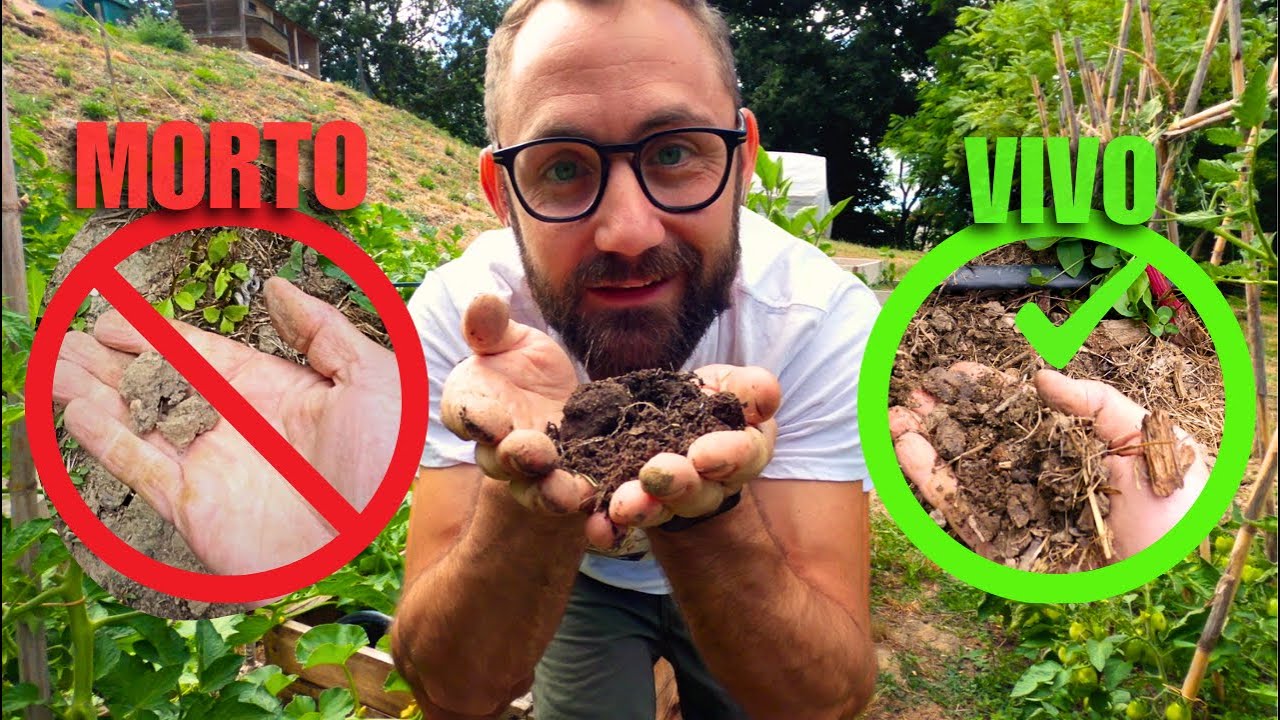 RIGENERAZIONE DEL SUOLO| cosa Significa e Come Iniziare Subito #agricolturanaturale #orto #nodig