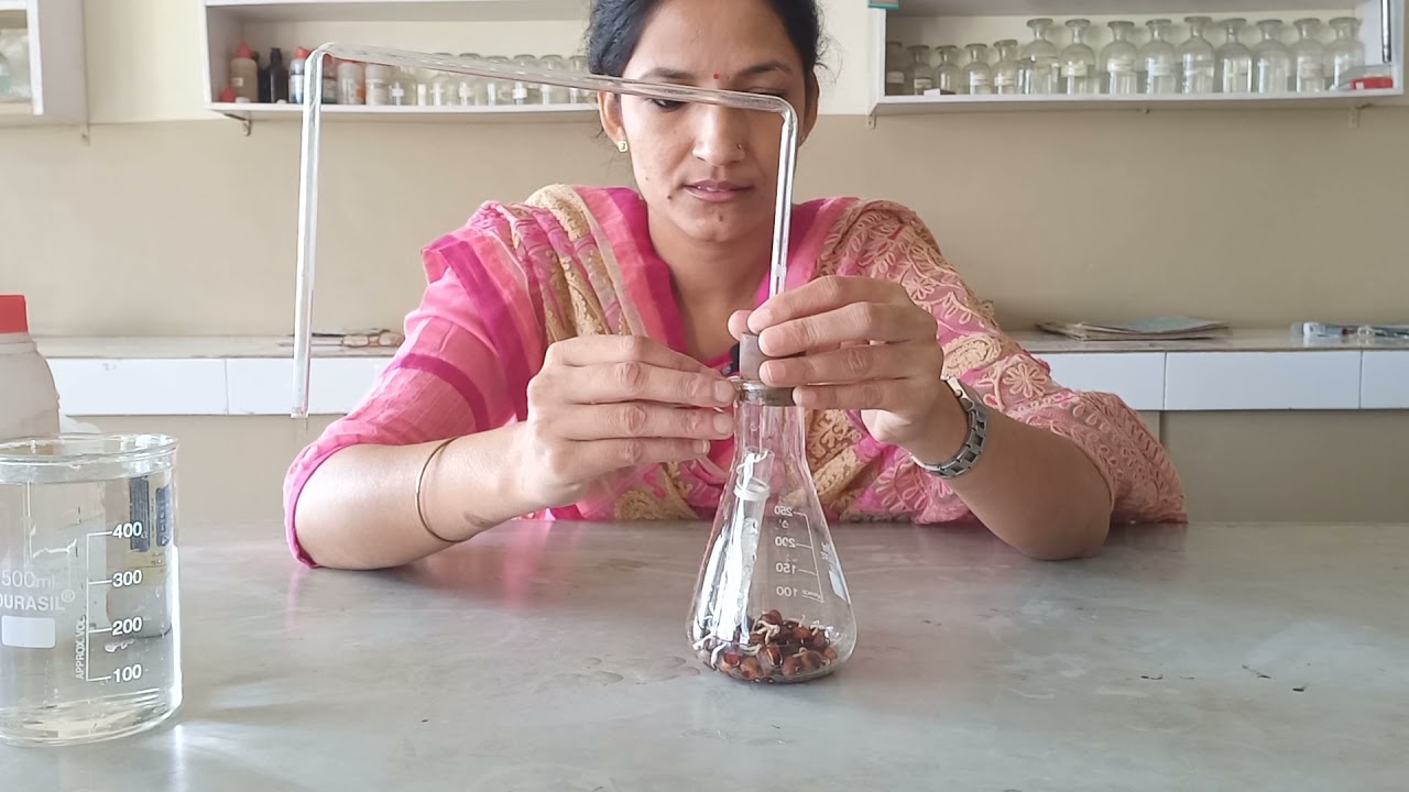 CARBON DIOXIDE IS RELEASED DURING RESPIRATION:  PRACTICAL (CLASS X NCERT )