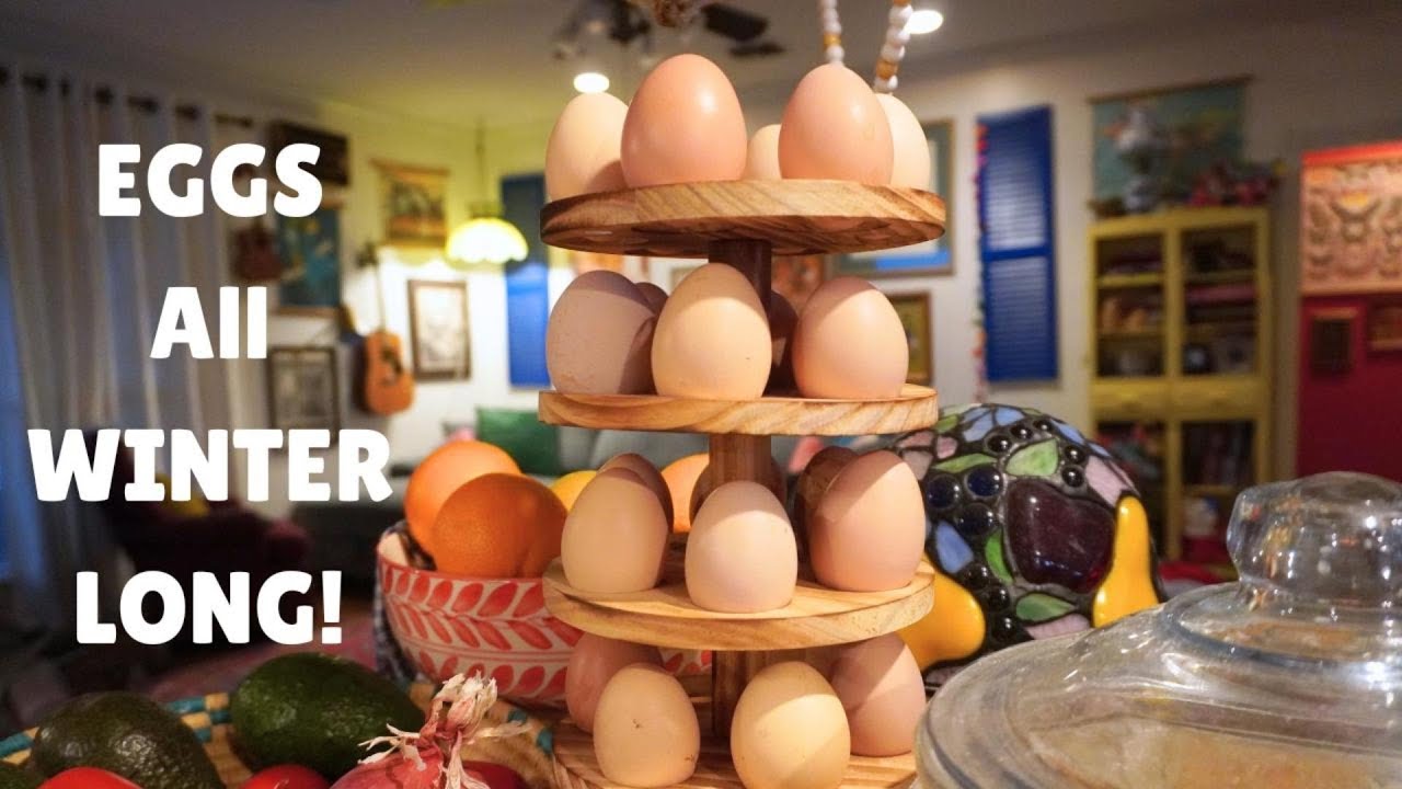 8 Ways to keep your chickens laying throughout the winter
