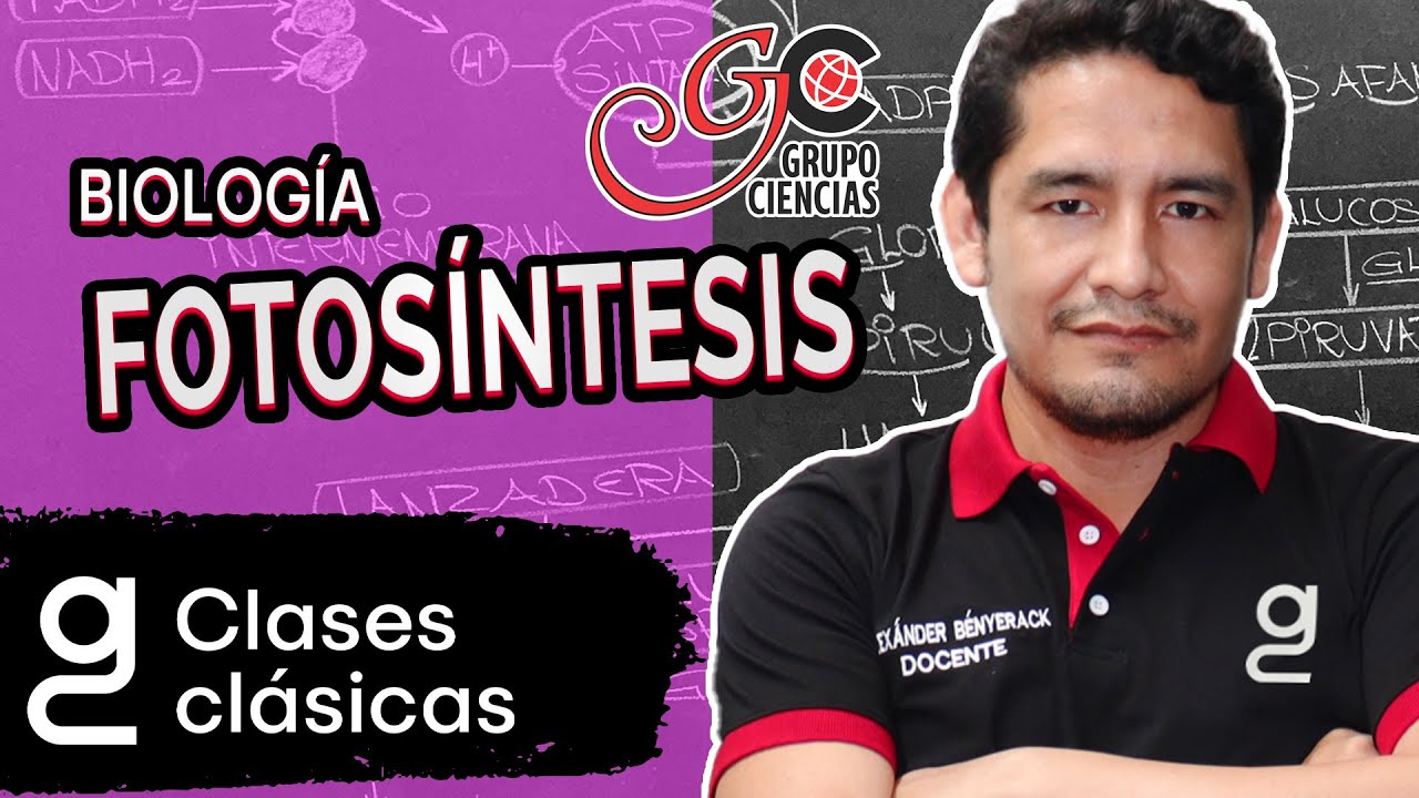 BIOLOGÍA - Fotosíntesis [ZOOM]
