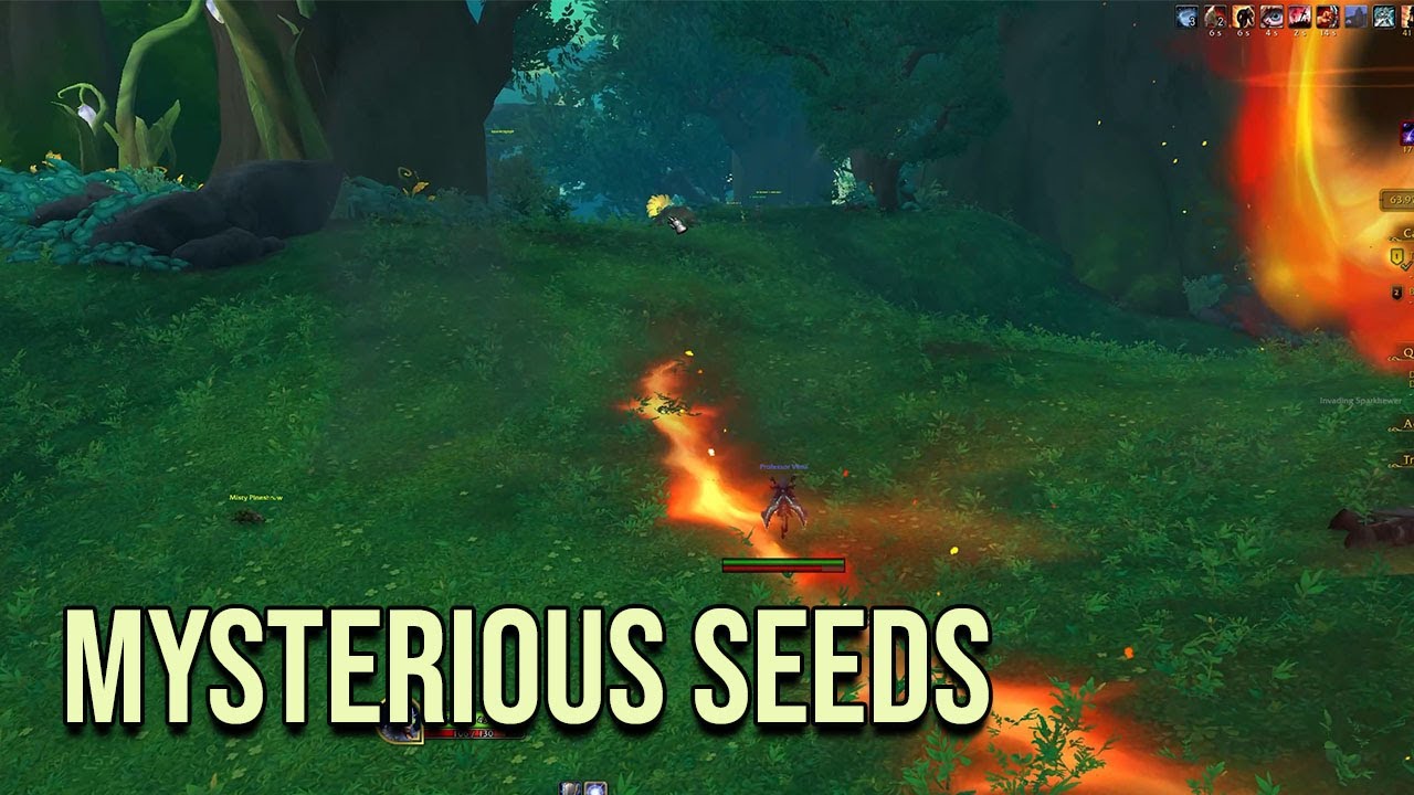 Mysterious Seeds - Sylvia Whisperbloom Questline Beginning